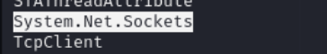 (ex. 4 - System.Net.Sockets inside strings output)