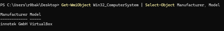 (ex. 8 - Using WMI to extract system information)